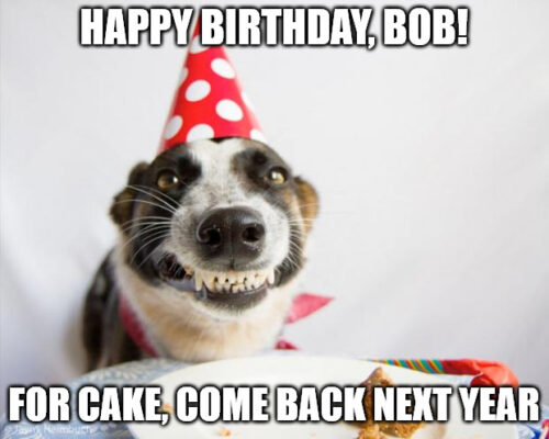 Happy Birthday, Bob - Birthday Dog Meme | Birthday Wishes Expert