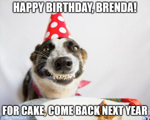 Happy Birthday, Brenda - Birthday Dog Meme | Birthday Wishes Expert