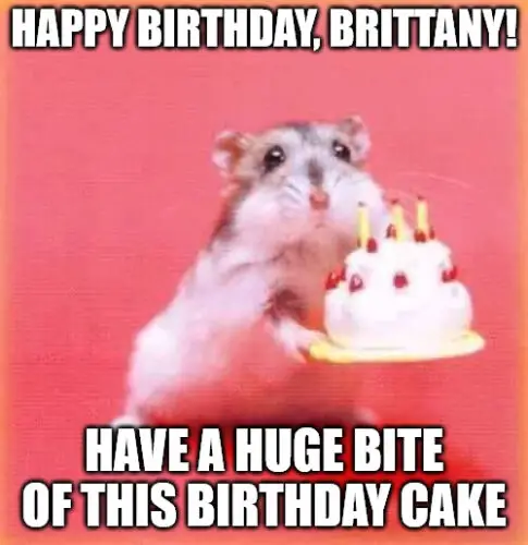 Happy Birthday, Brittany - Birthday hamster Meme | Birthday Wishes Expert