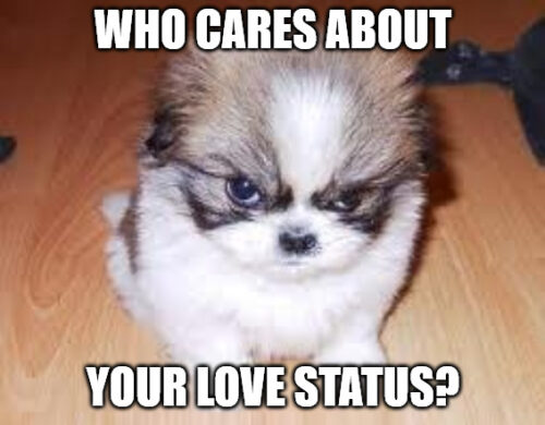 Evil Anti-Valentine's Puppy meme.