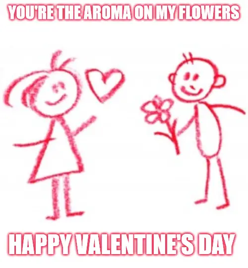 Happy Valentine's Day Meme.