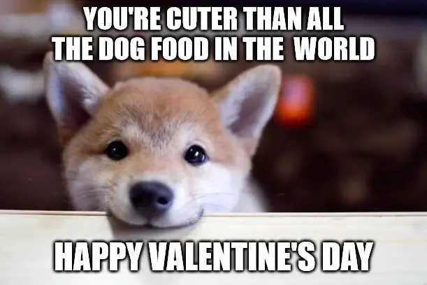 Cute Dog Valentines meme.