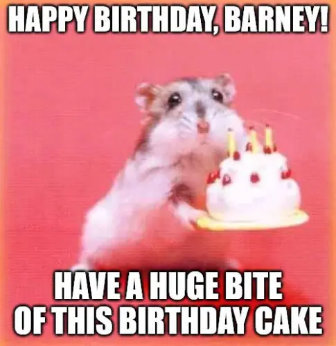 Happy Birthday, Barney - Birthday hamster Meme | Birthday Wishes Expert Happy Birthday, Barney - Birthday hamster Meme
