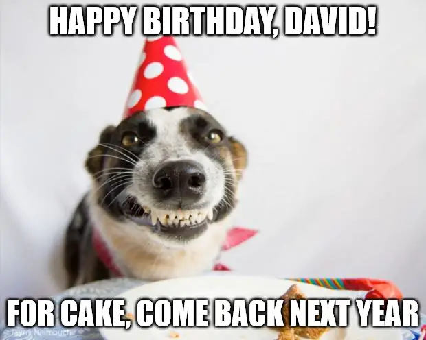 Happy Birthday, David - For cake, come back next year - Birthday Dog Meme