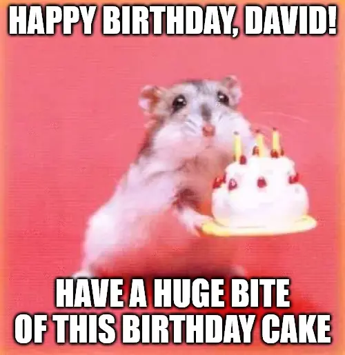 Happy Birthday, David - Have a huge bite of this Birthday Cake - Birthday hamster Meme