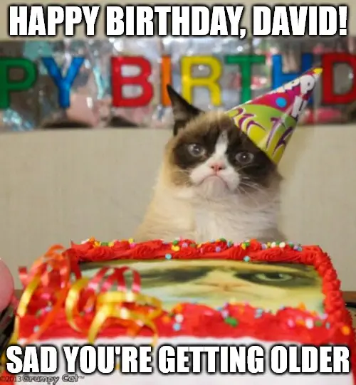 Happy Birthday, David - Grumpy Cat Meme