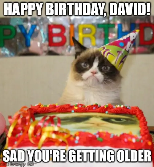 Happy Birthday, David - Grumpy Cat Meme | Birthday Wishes Expert Happy Birthday, David - Grumpy Cat Meme