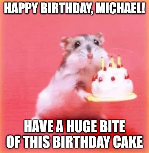 Happy Birthday, Michael - Birthday hamster Meme