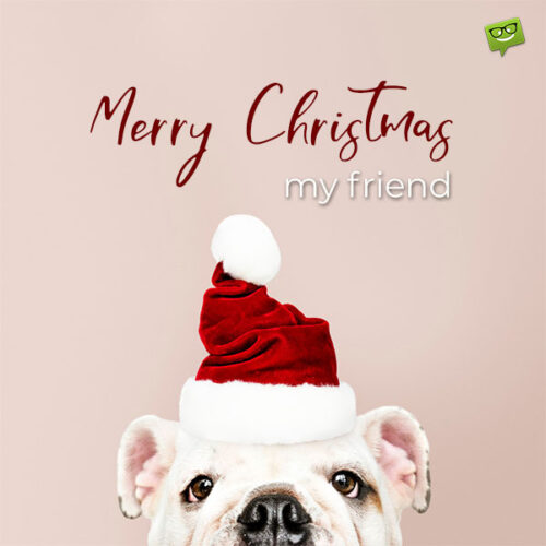 Merry Christmas Best Friend