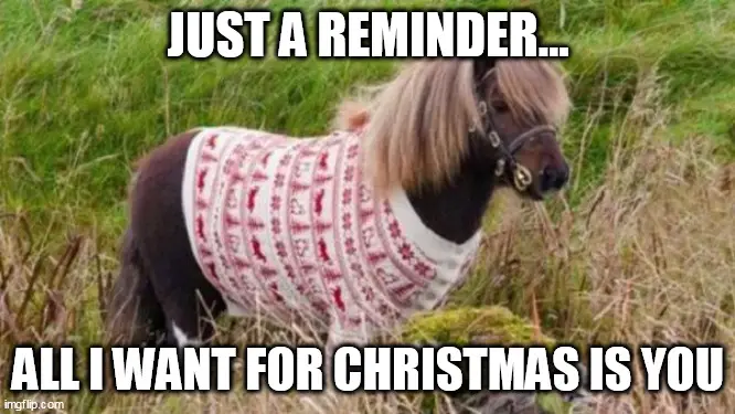 Funny Horse and Christmas sweater meme for boyfriend