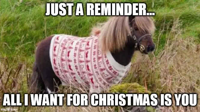 Funny Horse and Christmas sweater meme for boyfriend | Birthday Wishes Expert Funny Horse and Christmas sweater meme for boyfriend