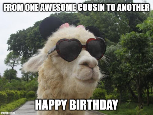 80 Laugh-Out-Loud Funny Birthday Wishes for Your Cousin
