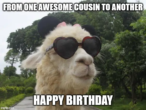 Happy Birthday Cousin Memes