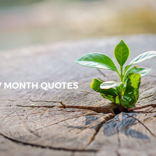 New Month Quotes