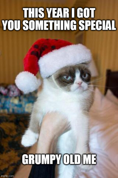 Funny Grumpy Christmas Cat meme. | Birthday Wishes Expert