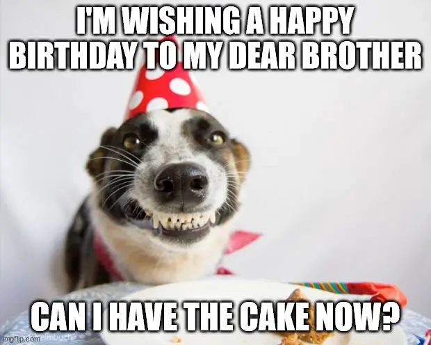 Birthday dog meme for brother | Birthday Wishes Expert Happy Birthday brother meme
