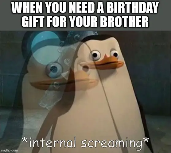 Happy Birthday brother meme