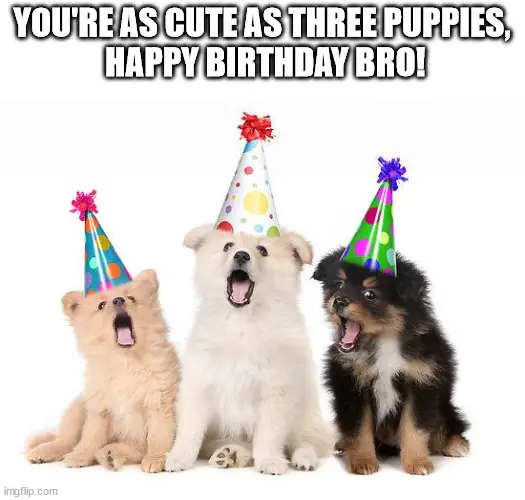 Birthday meme for brother | Birthday Wishes Expert Happy Birthday brother meme