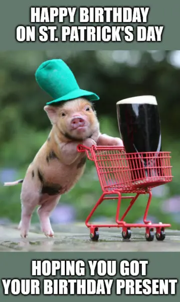 Birthday on St. Patrick's Pig Meme