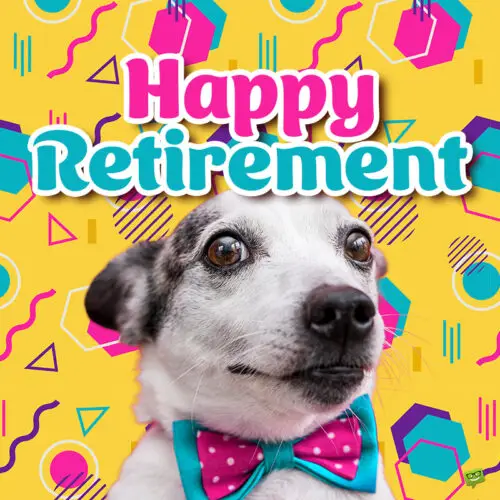 100 Catchy Retirement Captions for Your Posts | Birthday Wishes Expert Happy Retirement wish on an image with funny dog.