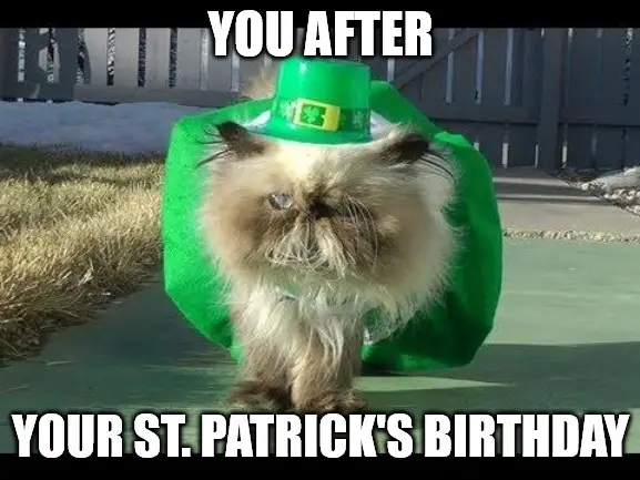 St Patrick's day birthday cat Meme