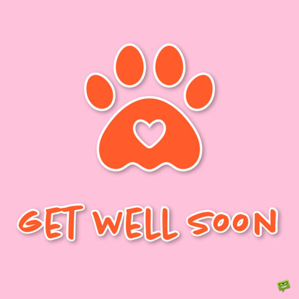 Get well soon message for pets.