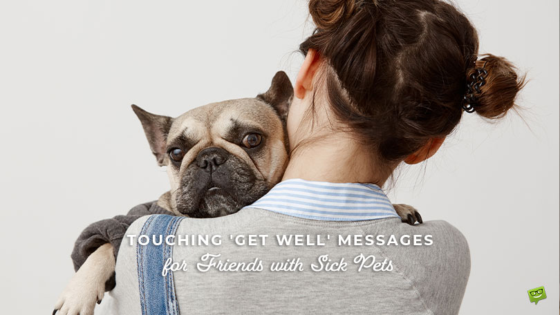 Featured image for a blog post with get well soon messages for friends with sick pets.