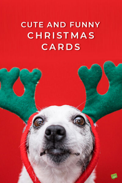 Cute and Funny Christmas cards.